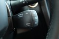 Daumennagel 28 - Renault Kadjar Business Edition AUTOMATIK KEYLEES