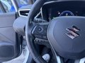 Daumennagel 10 - Suzuki Swace 1.8 Hybrid Comfort+