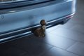 Daumennagel 13 - Volkswagen Passat Variant Comfortline  NAV ACC AHK