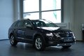Daumennagel 4 - Skoda Octavia Combi Scout 4x4  AUTOMATIK LED AHK