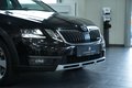 Daumennagel 5 - Skoda Octavia Combi Scout 4x4  AUTOMATIK LED AHK