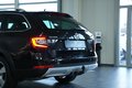 Daumennagel 11 - Skoda Octavia Combi Scout 4x4  AUTOMATIK LED AHK