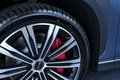 Daumennagel 8 - BYD Sealion 7 390 kW AWD Excellence  NEUFAHRZEUG 91,3 KWH