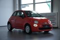 Daumennagel 4 - Fiat 500 Cult