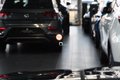 Daumennagel 50 - Audi RS Q8 4.0 TFSI quattro  PANO HEAD-UP B&O