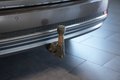 Daumennagel 16 - Audi A4 Avant quattro sport AUT NAV LED VIRTUAL AHK
