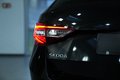 Daumennagel 12 - Skoda Superb Combi L&K  AUT AMBIENT NAV