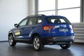 Daumennagel 10 - Skoda Karoq Ambition  AUTOMATIK