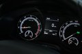 Daumennagel 23 - Skoda Karoq Ambition  AUTOMATIK