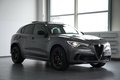 Daumennagel 4 - Alfa Romeo Stelvio Quadrifoglio Q4  AUT PANO LED NAV H&K