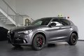 Daumennagel 2 - Alfa Romeo Stelvio Quadrifoglio Q4  AUT PANO LED NAV H&K
