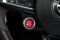 Daumennagel 30 - Alfa Romeo Stelvio Quadrifoglio Q4  AUT PANO LED NAV H&K