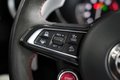 Daumennagel 31 - Alfa Romeo Stelvio Quadrifoglio Q4  AUT PANO LED NAV H&K