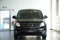 Daumennagel 3 - Mercedes-Benz Citan Kasten  KLIMA TEMPOMAT L-Version Kamera