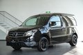 Daumennagel 2 - Mercedes-Benz Citan Kasten  KLIMA TEMPOMAT L-Version Kamera