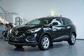 Daumennagel 2 - Renault Kadjar Business Edition AUT NAV KEYLEES LED