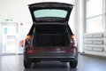 Daumennagel 9 - Volkswagen Tiguan IQ.DRIVE 4Motion  AUT NAV SHZ ACC AHK