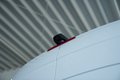 Daumennagel 18 - Mercedes-Benz Sprinter III Kasten 317 CDI L2 AUT M-BUX 360°