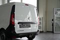 Daumennagel 12 - Renault Express Extra LED AHK PDC