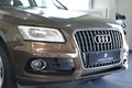 Daumennagel 6 - Audi Q5 2.0 TDI 130 kW quattro  AUT NAV LED SHZ