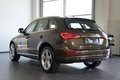 Daumennagel 10 - Audi Q5 2.0 TDI 130 kW quattro  AUT NAV LED SHZ
