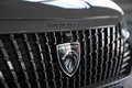 Daumennagel 6 - Peugeot 2008 GT  AUT LED SHZ CARPLAY