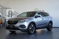 Daumennagel 2 - Opel Grandland Innovation  KEYLEES NAV LED SHZ