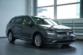 Daumennagel 4 - Volkswagen Golf Variant