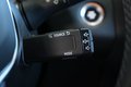 Daumennagel 30 - Renault Captur II Experience LED NAV TEMP NAV