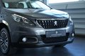 Daumennagel 5 - Peugeot 2008 Active