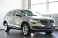 Daumennagel 4 - Skoda Kodiaq Ambition 4x4  AUTOMATIK