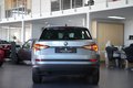 Daumennagel 8 - Skoda Kodiaq Ambition 4x4  AUTOMATIK