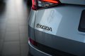 Daumennagel 12 - Skoda Kodiaq Ambition 4x4  AUTOMATIK