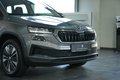 Daumennagel 5 - Skoda Karoq Tour 4x4 AUT LED 360° NAV