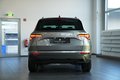 Daumennagel 8 - Skoda Karoq Tour 4x4 AUT LED 360° NAV