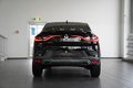Daumennagel 9 - Renault Arkana R.S. Line Fast Track  AUT NAV LED SHZ