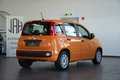 Daumennagel 6 - Fiat Panda Base SHZ KLIMA SERVO