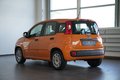 Daumennagel 8 - Fiat Panda Base SHZ KLIMA SERVO