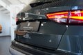 Daumennagel 17 - SEAT Ateca Xperience 4Drive PANO AHK 360