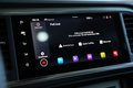 Daumennagel 43 - SEAT Ateca Xperience 4Drive PANO AHK 360