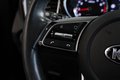 Daumennagel 28 - Kia Ceed Vision AUT NAV LED TEMP SHZ