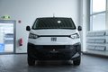 Daumennagel 3 - Fiat Scudo L3 Multicab  AUTOMATIK 6-SITZER AUSBAU AHK