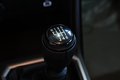 Daumennagel 19 - Dacia Sandero III Stepway Expression+