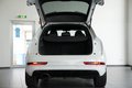 Daumennagel 12 - Audi RS Q3 2.5 TFSI quattro