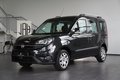 Daumennagel 3 - Fiat Doblò SX Kombi