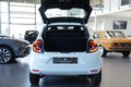 Daumennagel 8 - Renault Twingo Limited  LED TEM KLIMA