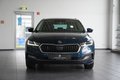 Daumennagel 3 - Skoda Octavia Combi Style  AUT NAV LED MEMORY