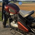 Daumennagel 7 - Jawa 350 CL 42 Bobber