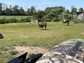 Daumennagel 15 - Polaris Ranger XP 1000 Hunter 4x4 ZUG/LOF Wildbergeeinrichtung