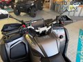 Daumennagel 18 - CFMOTO CFORCE 850 Touring PRO ABS S 4X4 Sitz-/Griff-/Daumengasheizung
